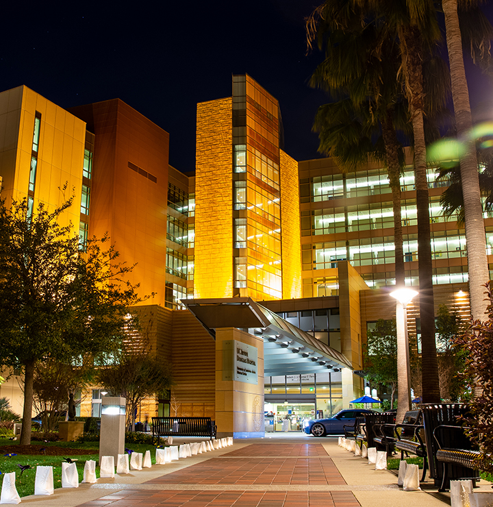 Illuminated modern building at night surrounded by trees and streetlights, with a clear sky in the background.